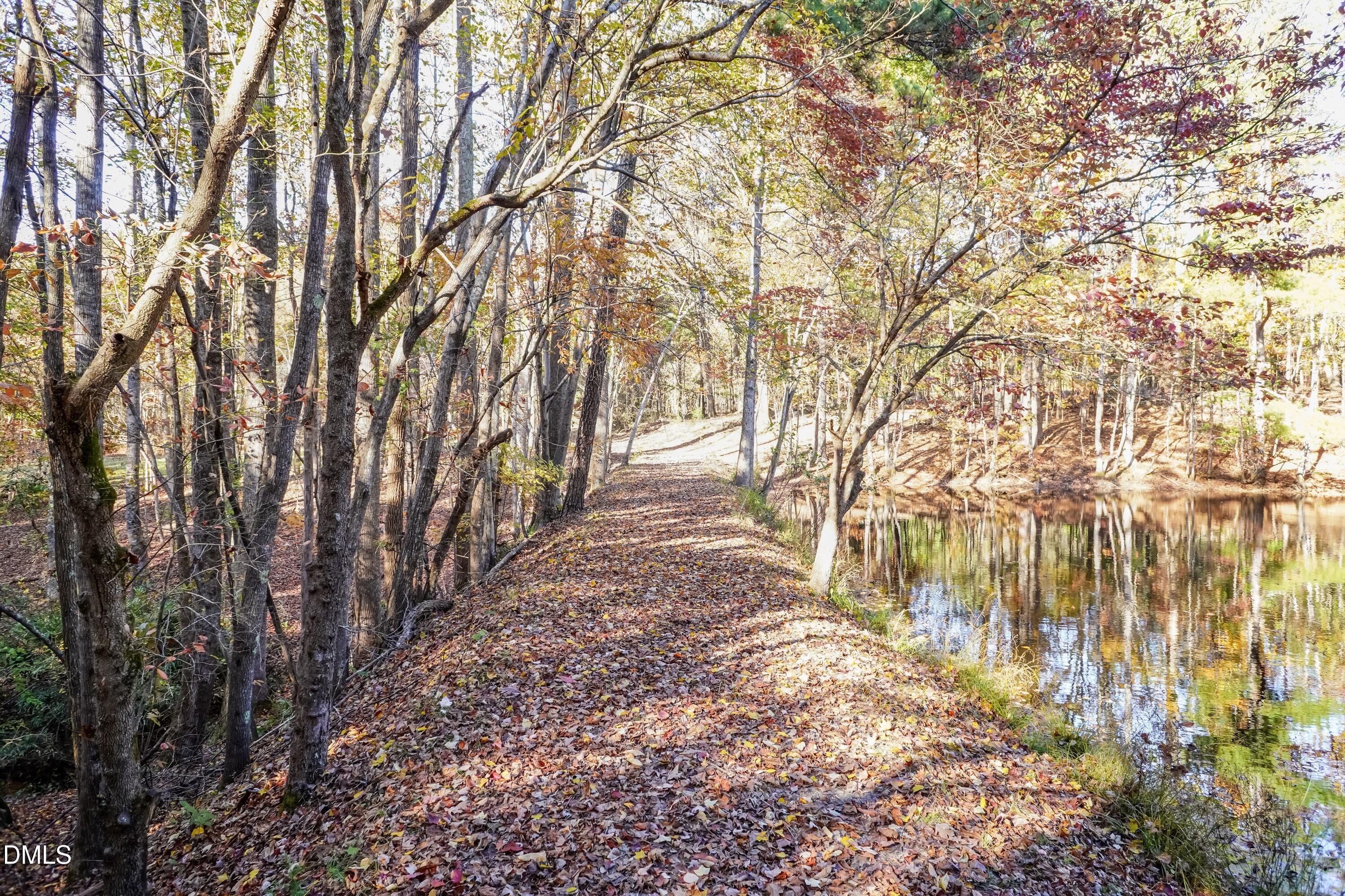 2566 Mays Crossroad Road Youngsville, NC 27596 - Photo 3 of 5 Berm 01