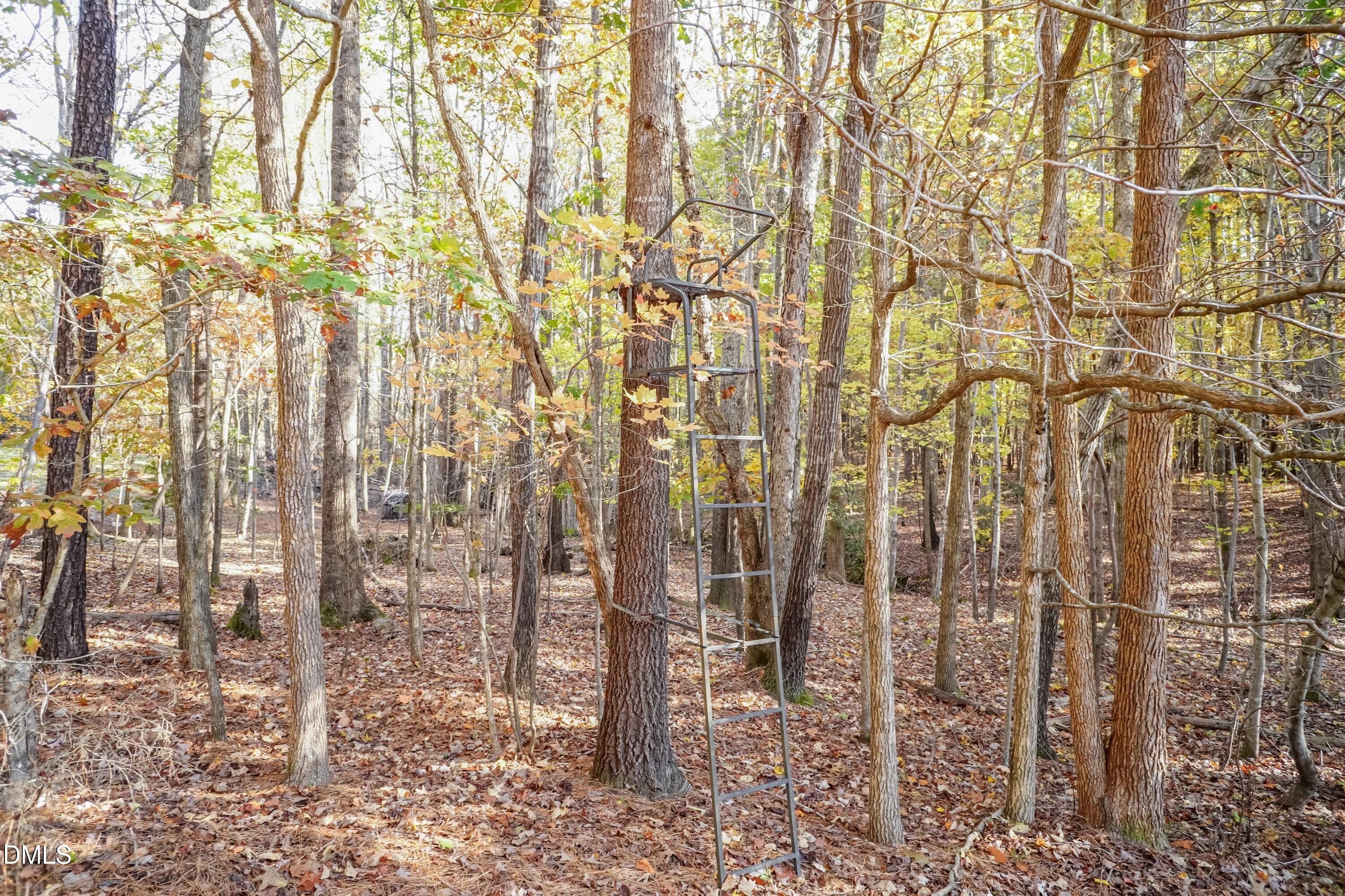 2566 Mays Crossroad Road Youngsville, NC 27596 - Photo 4 of 5 Hunt Stand 01