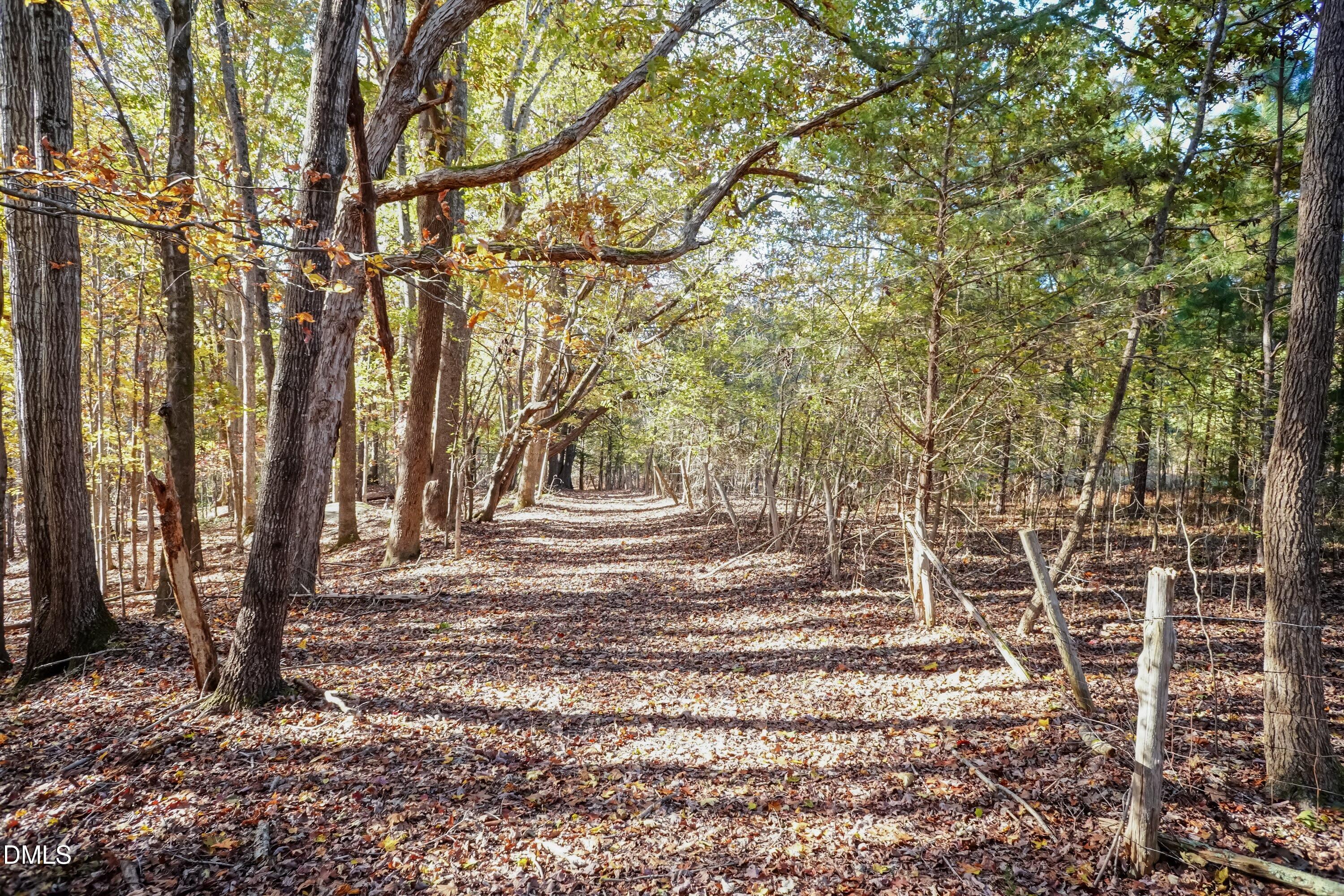 2566 Mays Crossroad Road Youngsville, NC 27596 - Photo 5 of 5 Path 03