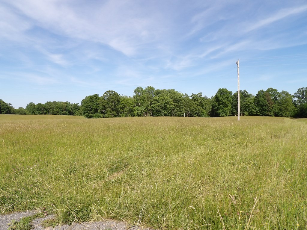 1030 Big Neck Road Grandview, TN 37337 - Photo 16 of 54 Gallery Image 16