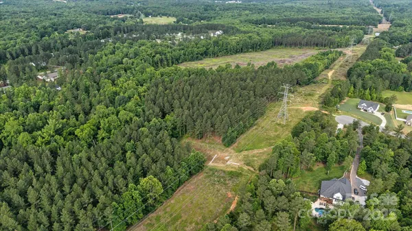 a view of a lush green forest with lots of trees