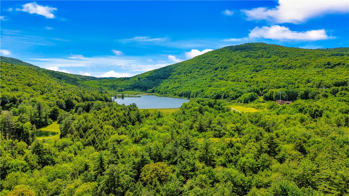 0 Deer Path, Stamford, NY 12167 Compass