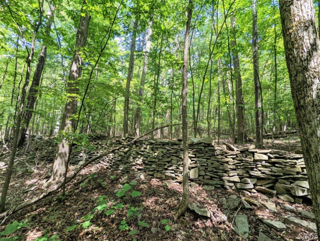 0 Wolf Run Road Campbell, NY 14821 - Photo 13 of 34