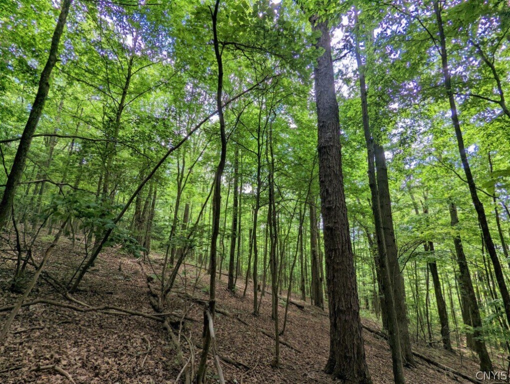 0 Wolf Run Road Campbell, NY 14821 - Photo 14 of 34