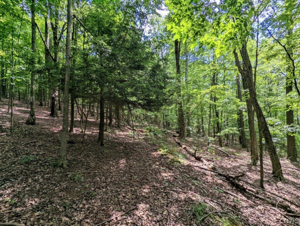 0 Wolf Run Road Campbell, NY 14821 - Photo 16 of 34