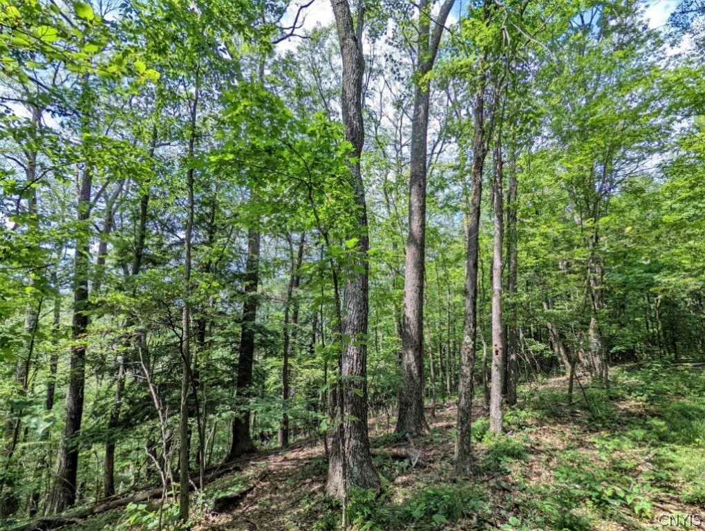 0 Wolf Run Road Campbell, NY 14821 - Photo 20 of 34