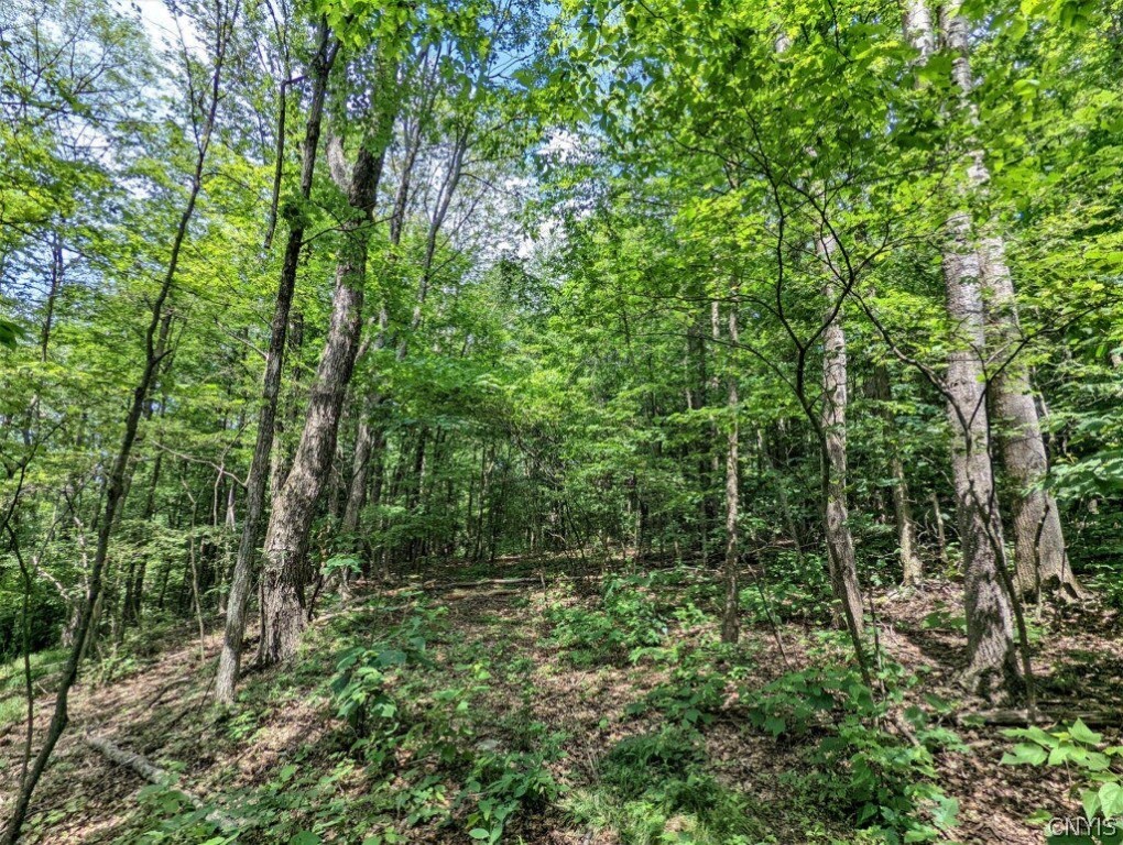 0 Wolf Run Road Campbell, NY 14821 - Photo 21 of 34