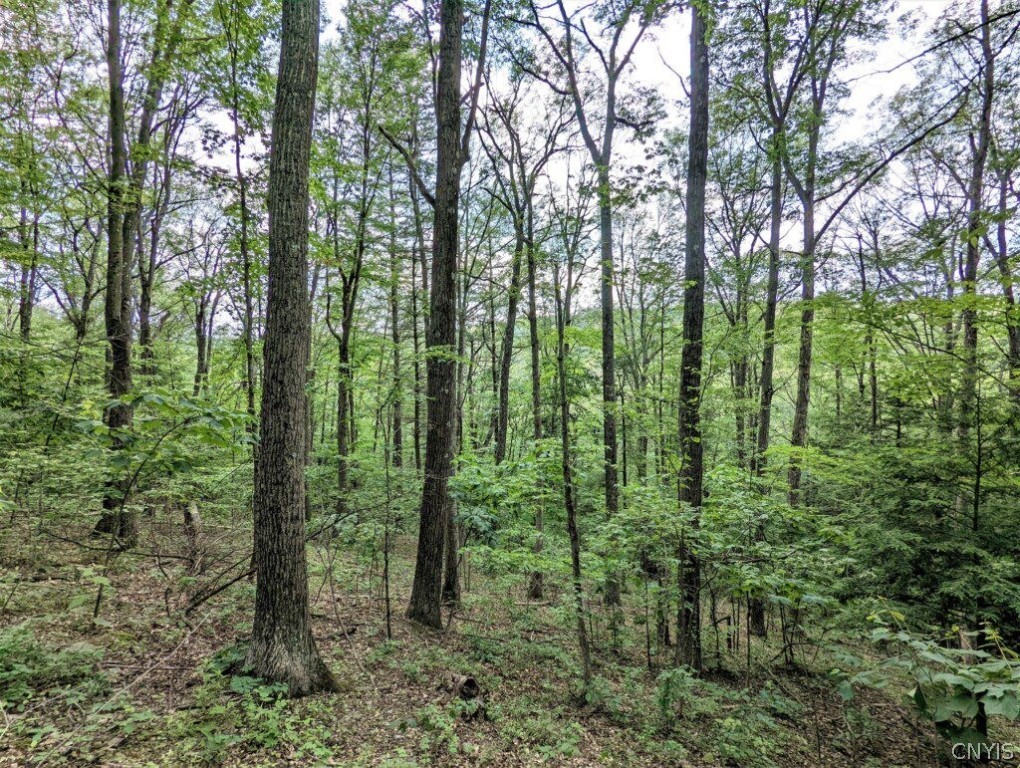 0 Wolf Run Road Campbell, NY 14821 - Photo 23 of 34