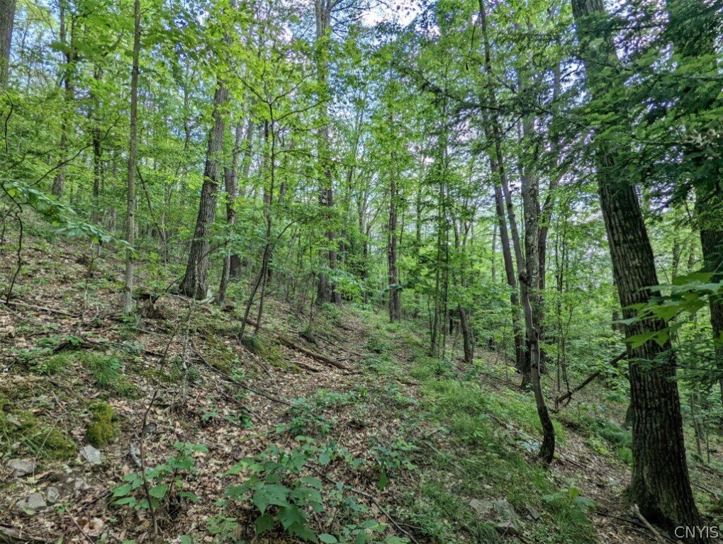 0 Wolf Run Road Campbell, NY 14821 - Photo 24 of 34