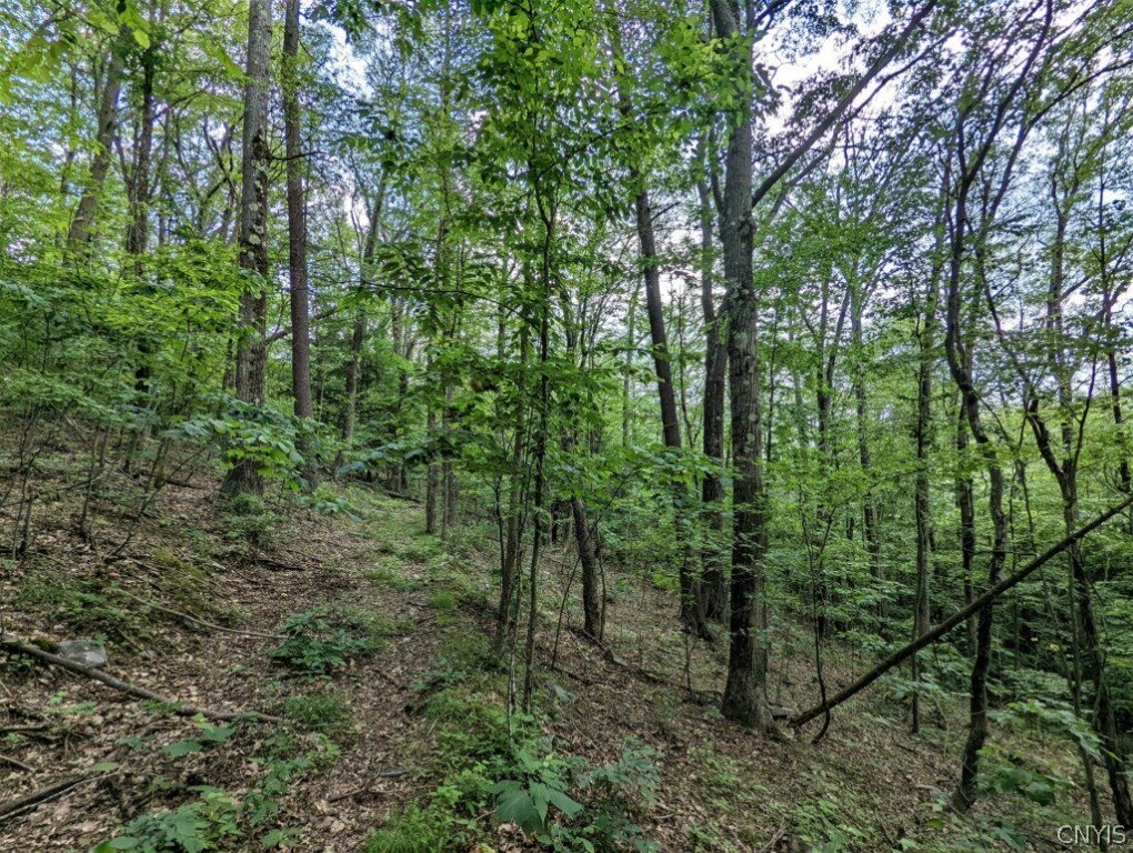 0 Wolf Run Road Campbell, NY 14821 - Photo 25 of 34