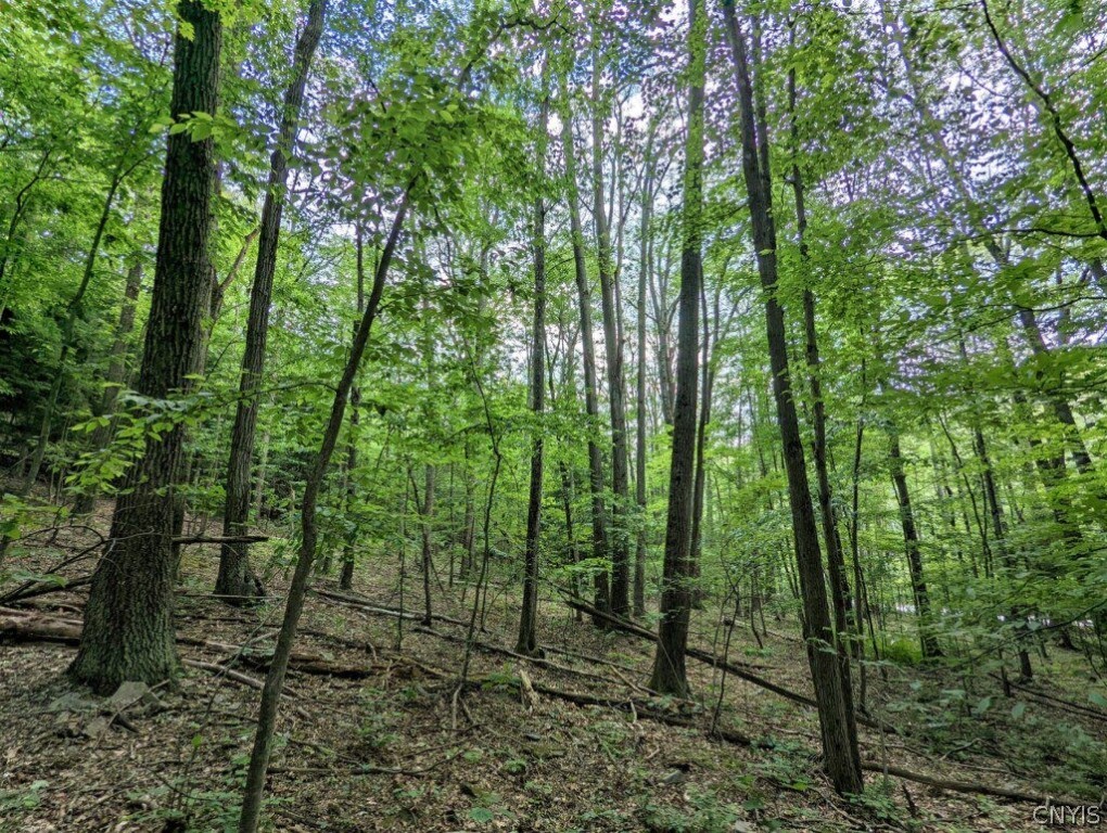 0 Wolf Run Road Campbell, NY 14821 - Photo 26 of 34