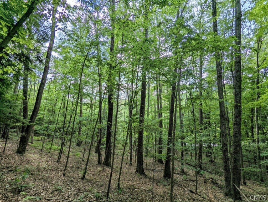 0 Wolf Run Road Campbell, NY 14821 - Photo 27 of 34