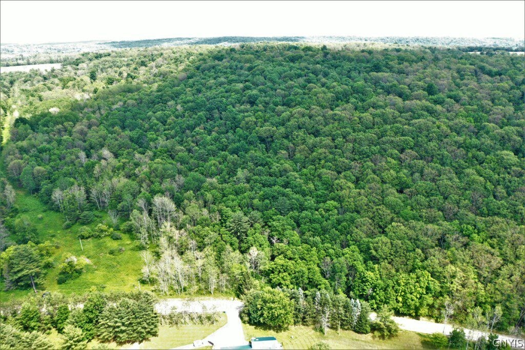 0 Wolf Run Road Campbell, NY 14821 - Photo 29 of 34