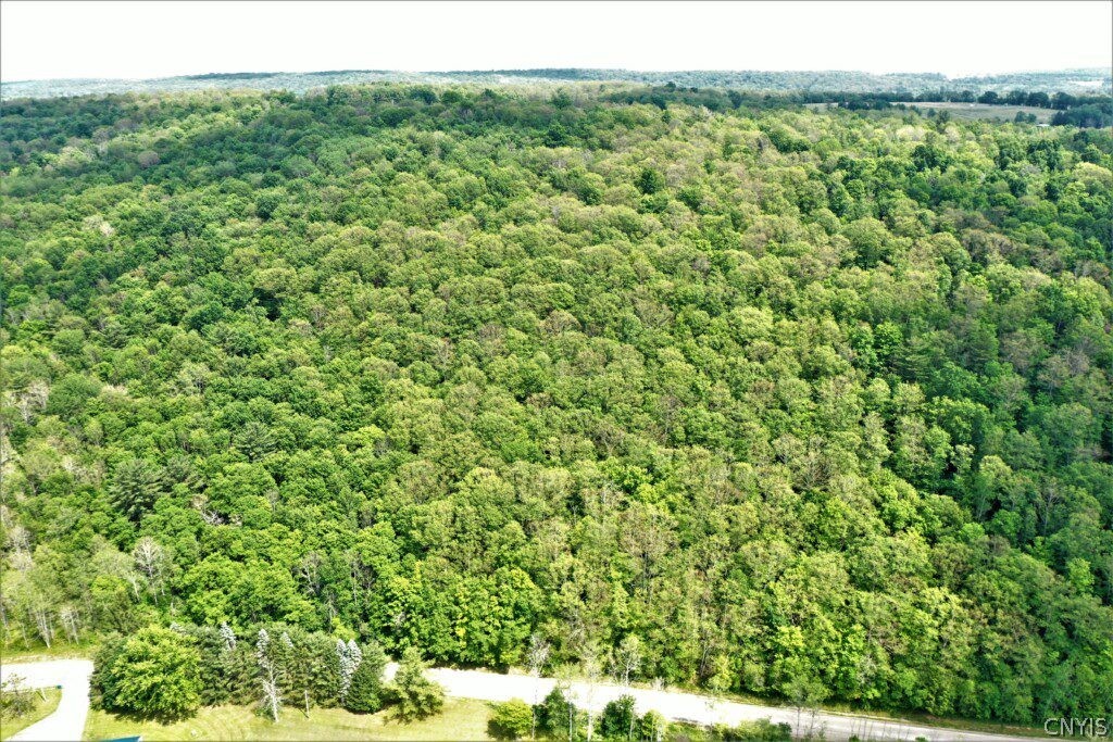 0 Wolf Run Road Campbell, NY 14821 - Photo 30 of 34