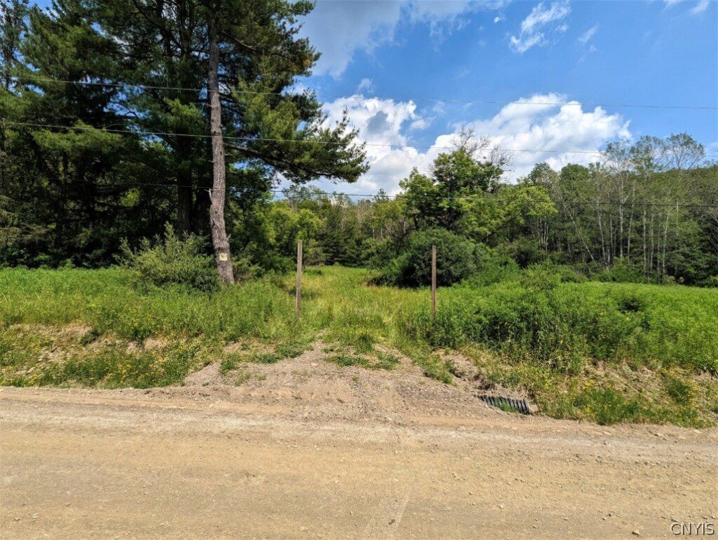 0 Wolf Run Road Campbell, NY 14821 - Photo 3 of 34