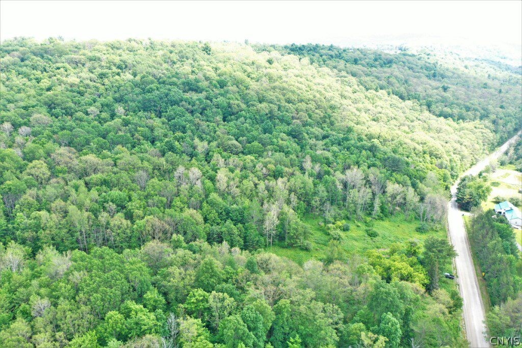 0 Wolf Run Road Campbell, NY 14821 - Photo 31 of 34