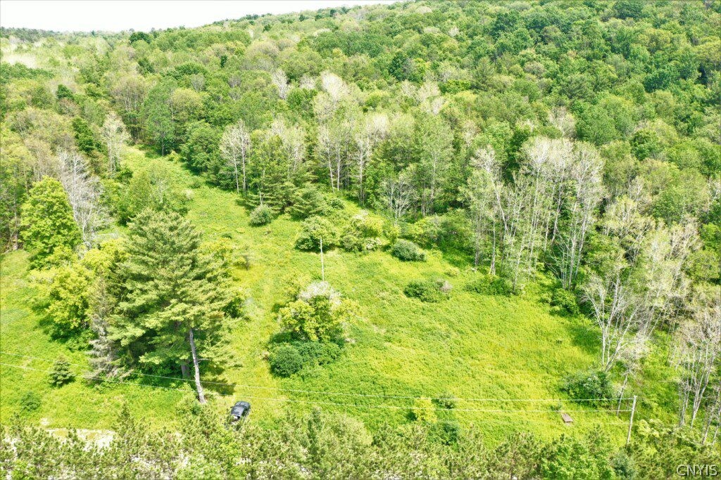 0 Wolf Run Road Campbell, NY 14821 - Photo 32 of 34