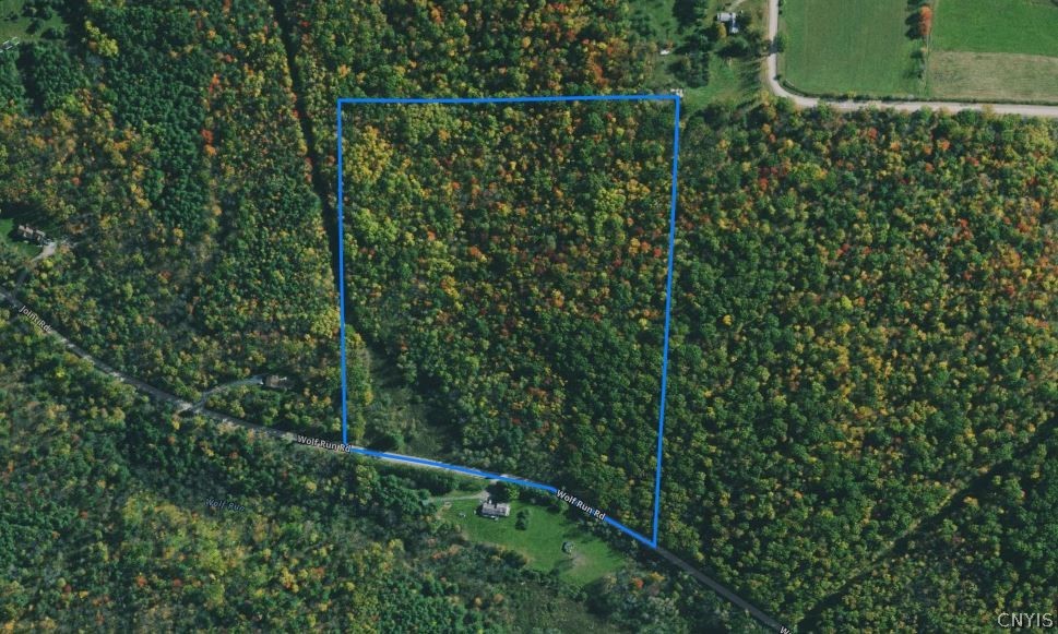 0 Wolf Run Road Campbell, NY 14821 - Photo 34 of 34