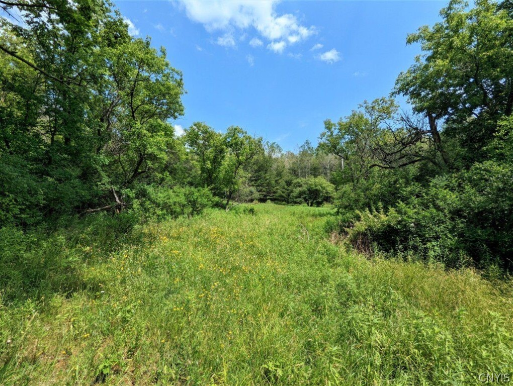 0 Wolf Run Road Campbell, NY 14821 - Photo 4 of 34