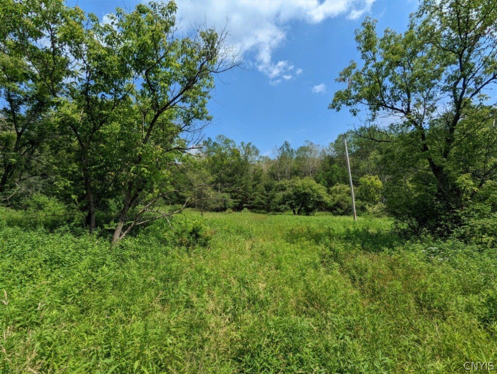 0 Wolf Run Road Campbell, NY 14821 - Photo 5 of 34