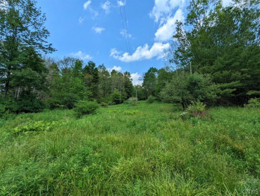 0 Wolf Run Road Campbell, NY 14821 - Photo 7 of 34