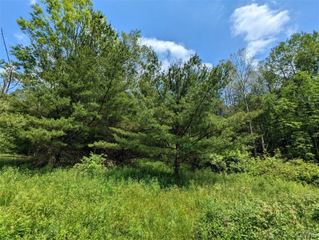 0 Wolf Run Road Campbell, NY 14821 - Photo 8 of 34