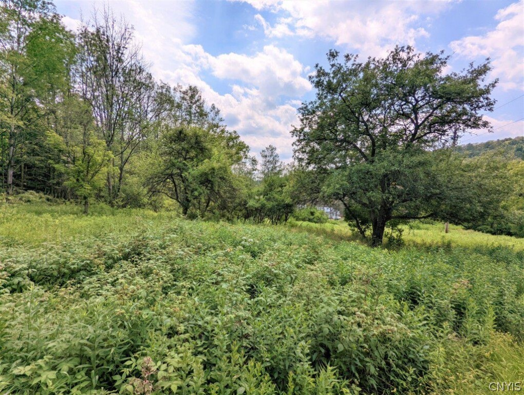 0 Wolf Run Road Campbell, NY 14821 - Photo 9 of 34