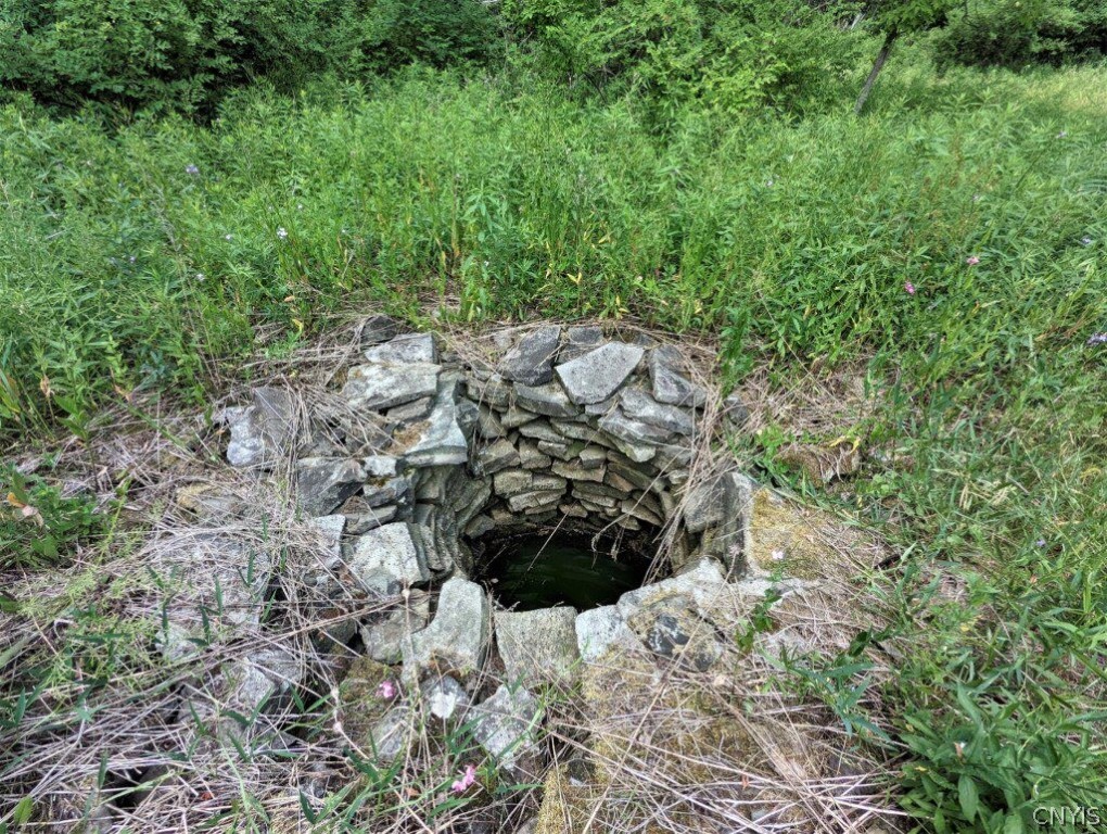 0 Wolf Run Road Campbell, NY 14821 - Photo 10 of 34