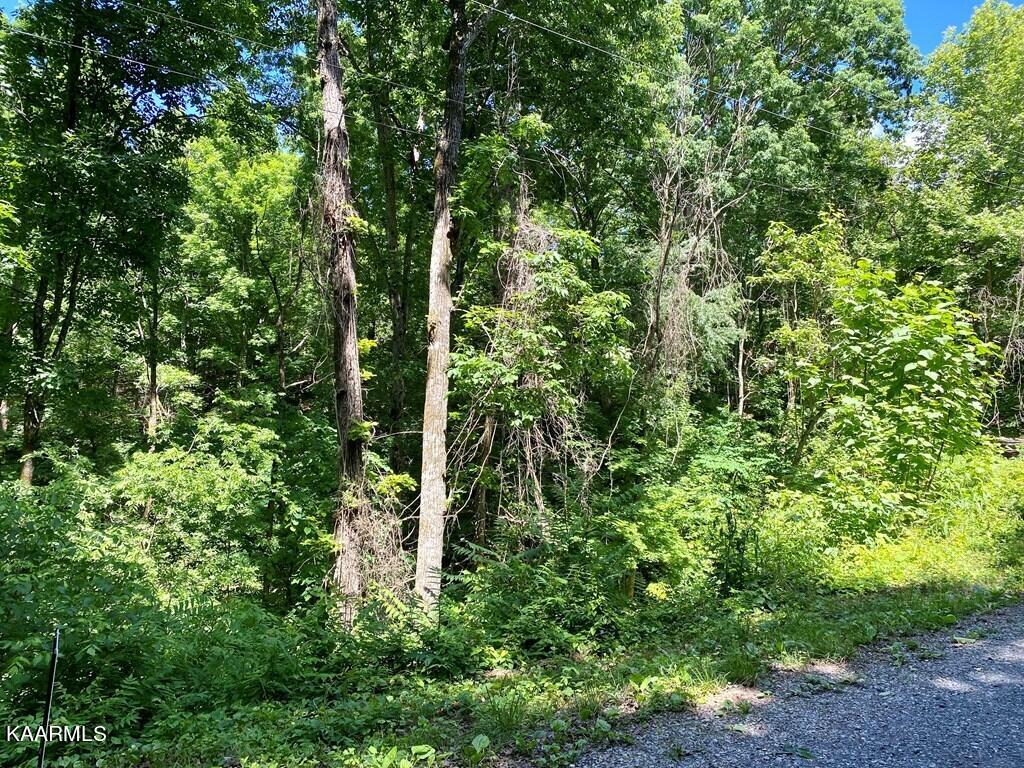 19 B Cedar Ridge Way Cosby, TN 37722 - Photo 3 of 9 3