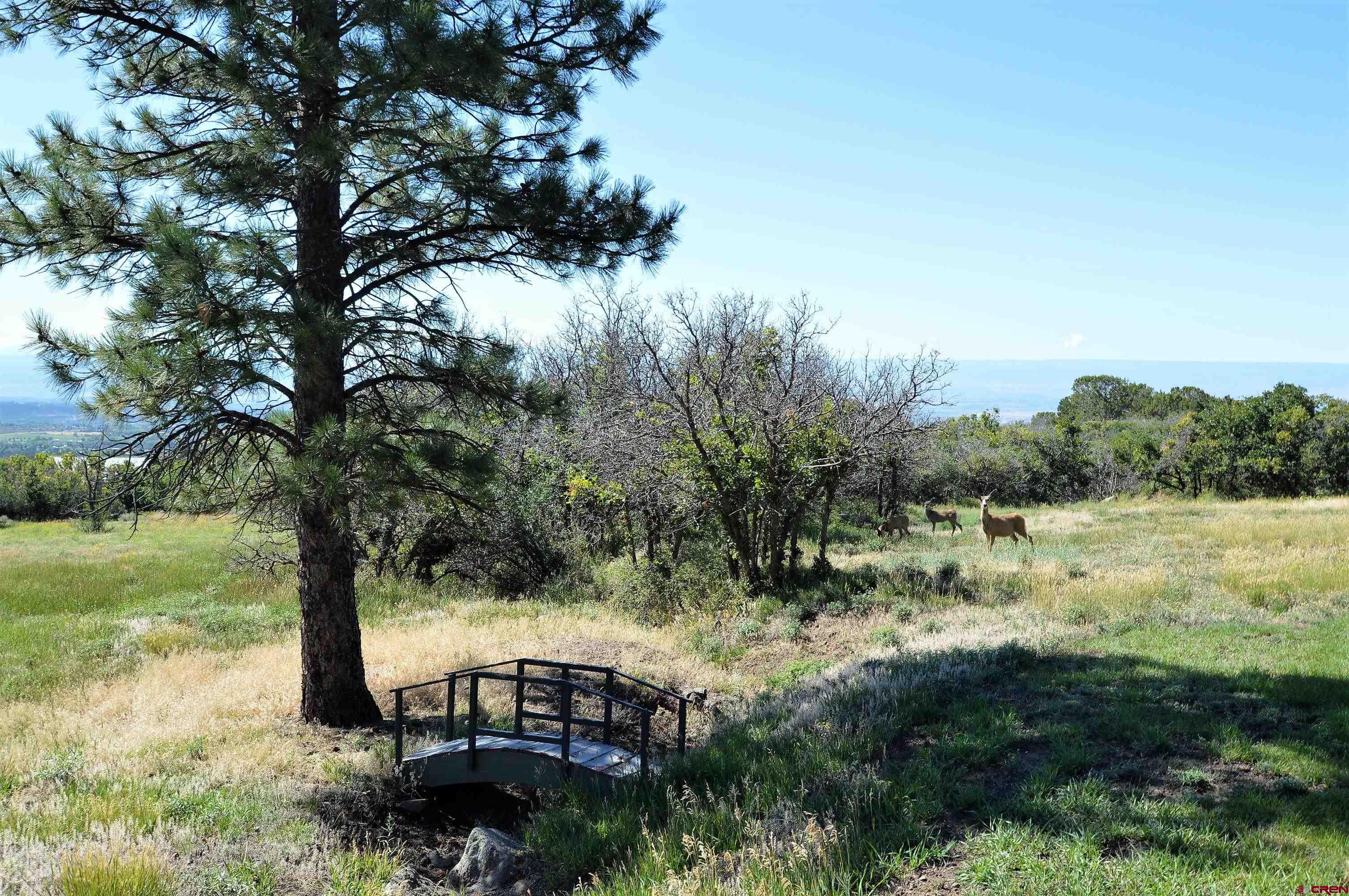 21939-21951 2225 Road Cedaredge, CO 81413 - Photo 24 of 35 a view of lake with green space