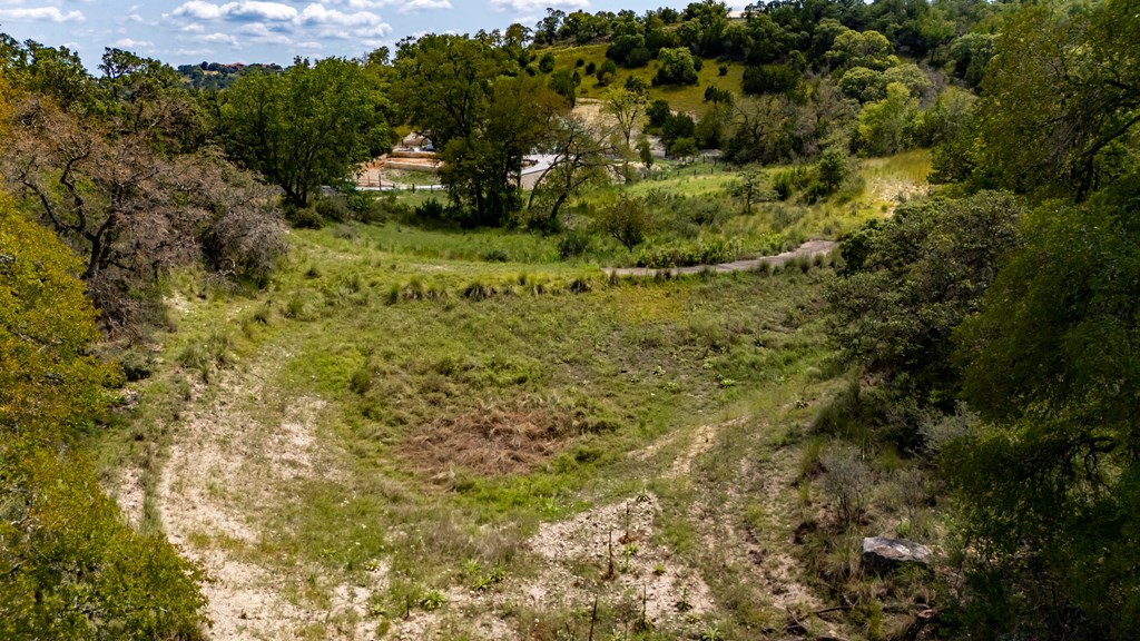 130 Dripping Spring Drive North Comfort, TX 78013 - Photo 11 of 16 a view of a bunch of trees and bushes