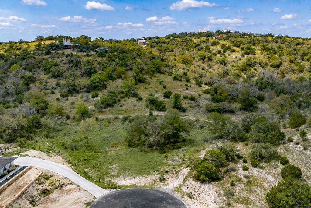 130 Dripping Spring Drive North Comfort, TX 78013 - Photo 13 of 16 a view of a bunch of trees and bushes
