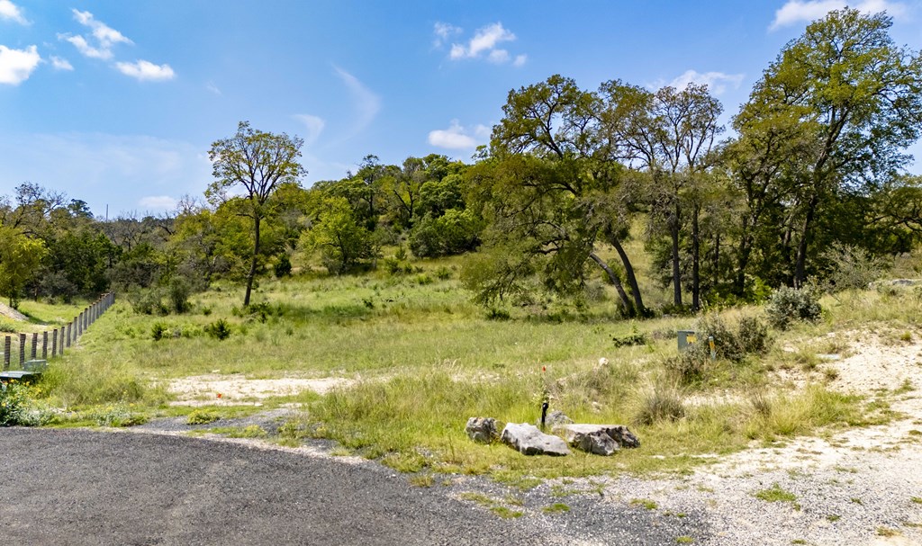 130 Dripping Spring Drive North Comfort, TX 78013 - Photo 6 of 16 a view of a yard with large trees
