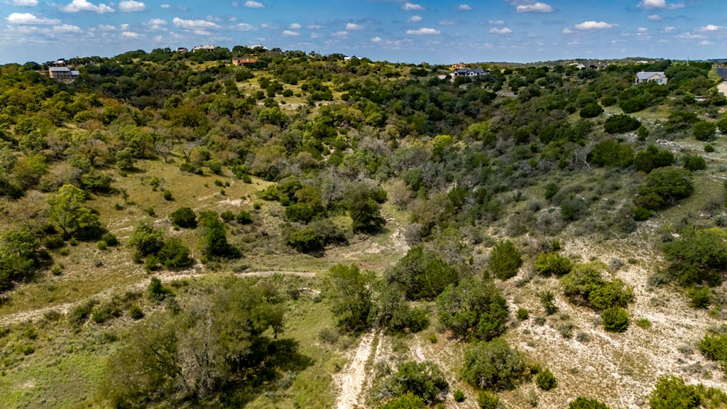 130 Dripping Spring Drive North Comfort, TX 78013 - Photo 7 of 16 a view of a bunch of trees and bushes