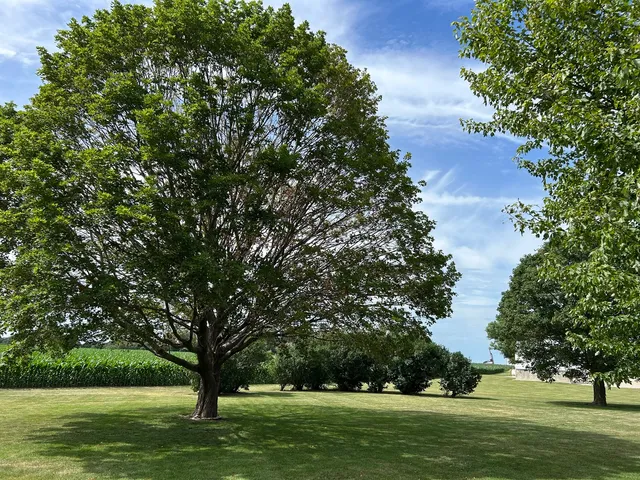 $250,000 | 70 North Main Street, La Moille, IL 61330