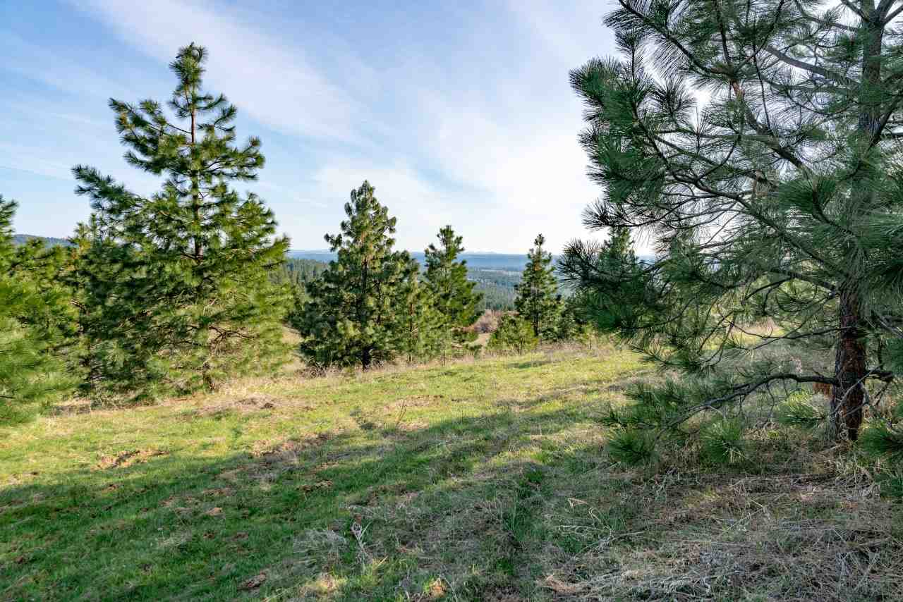 5323 South Swenson Road, Unit F Deer Park, WA 99006 - Photo 11 of 20 Gallery Image 11