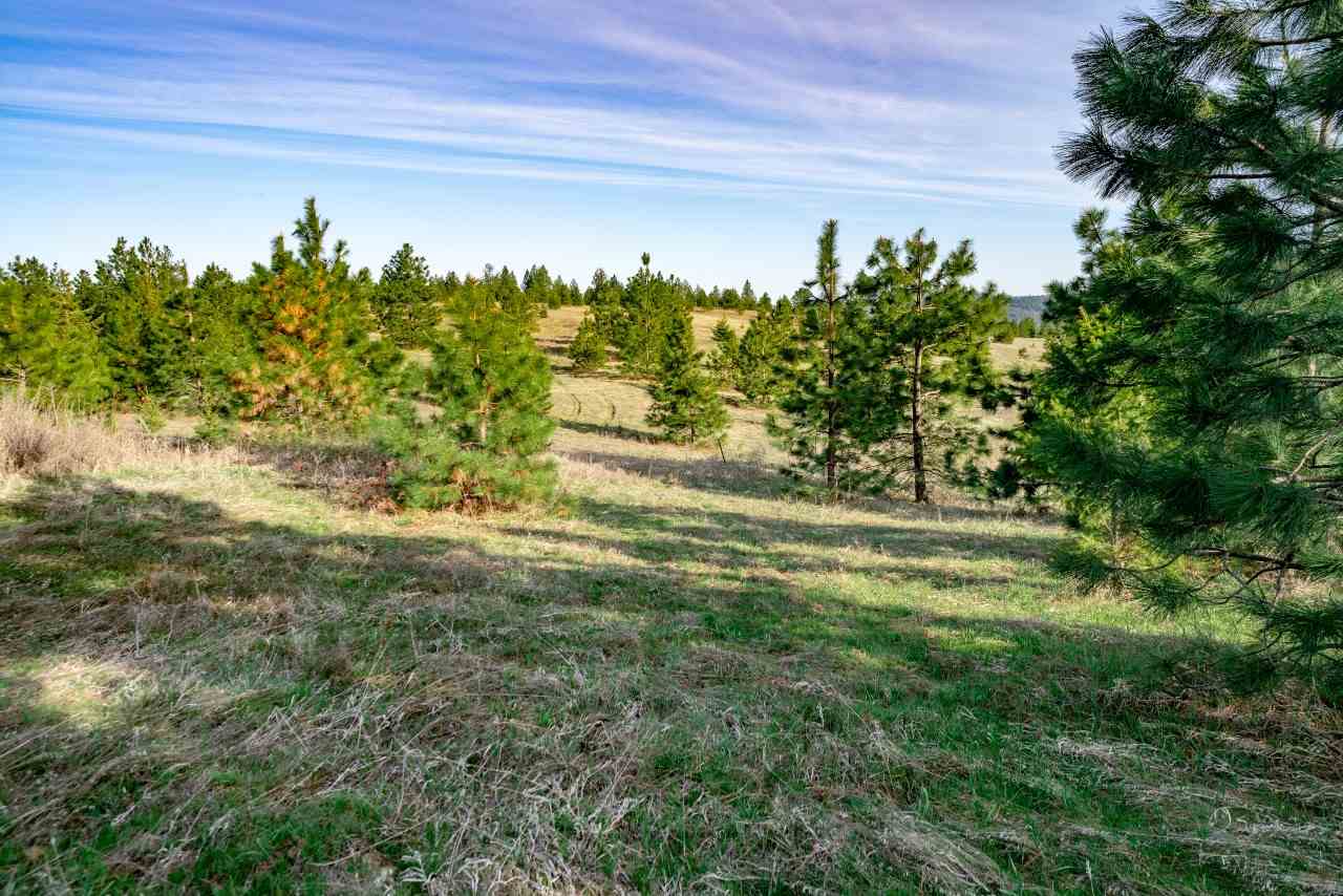 5323 South Swenson Road, Unit F Deer Park, WA 99006 - Photo 12 of 20 Gallery Image 12
