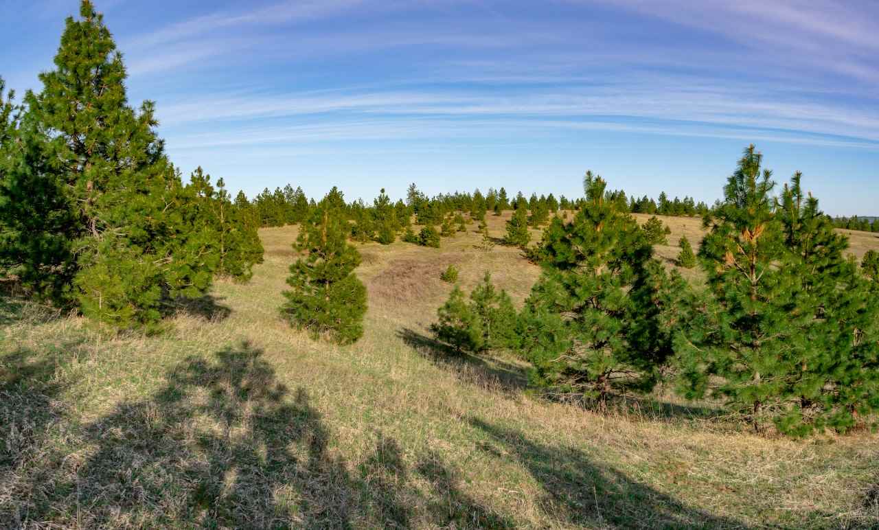 5323 South Swenson Road, Unit F Deer Park, WA 99006 - Photo 13 of 20 Gallery Image 13