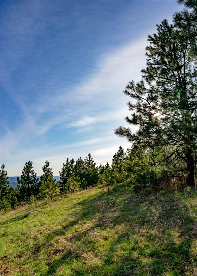 5323 South Swenson Road, Unit F Deer Park, WA 99006 - Photo 16 of 20 Gallery Image 16