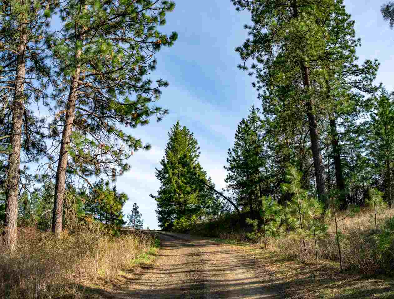 5323 South Swenson Road, Unit F Deer Park, WA 99006 - Photo 17 of 20 Gallery Image 17