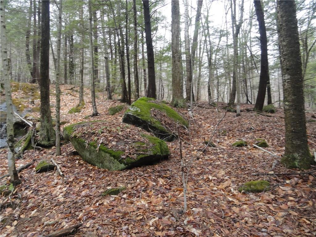 0 Redding-saunders Road Bryant Pond, ME 04219 - Photo 14 of 29 Photo