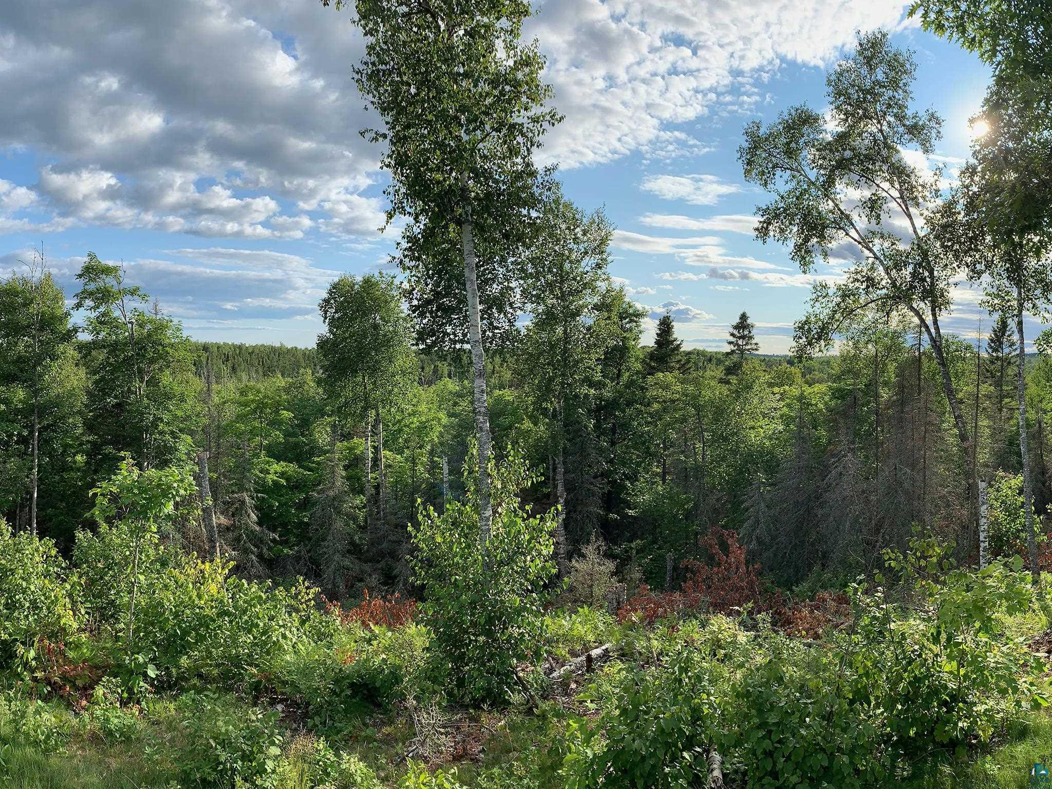 288 Old Drummond Road Two Harbors, MN 55616 - Photo 3 of 48 View of landscape