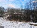 $89,900 | Tbd Veterans Memorial Highway, Kingwood, WV 26537