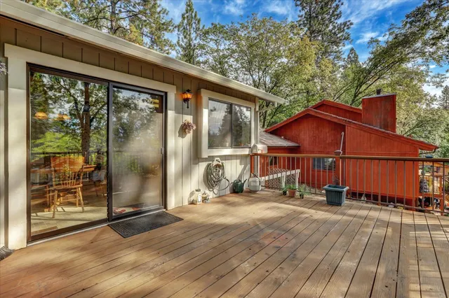 a view of a backyard with large trees and wooden fence