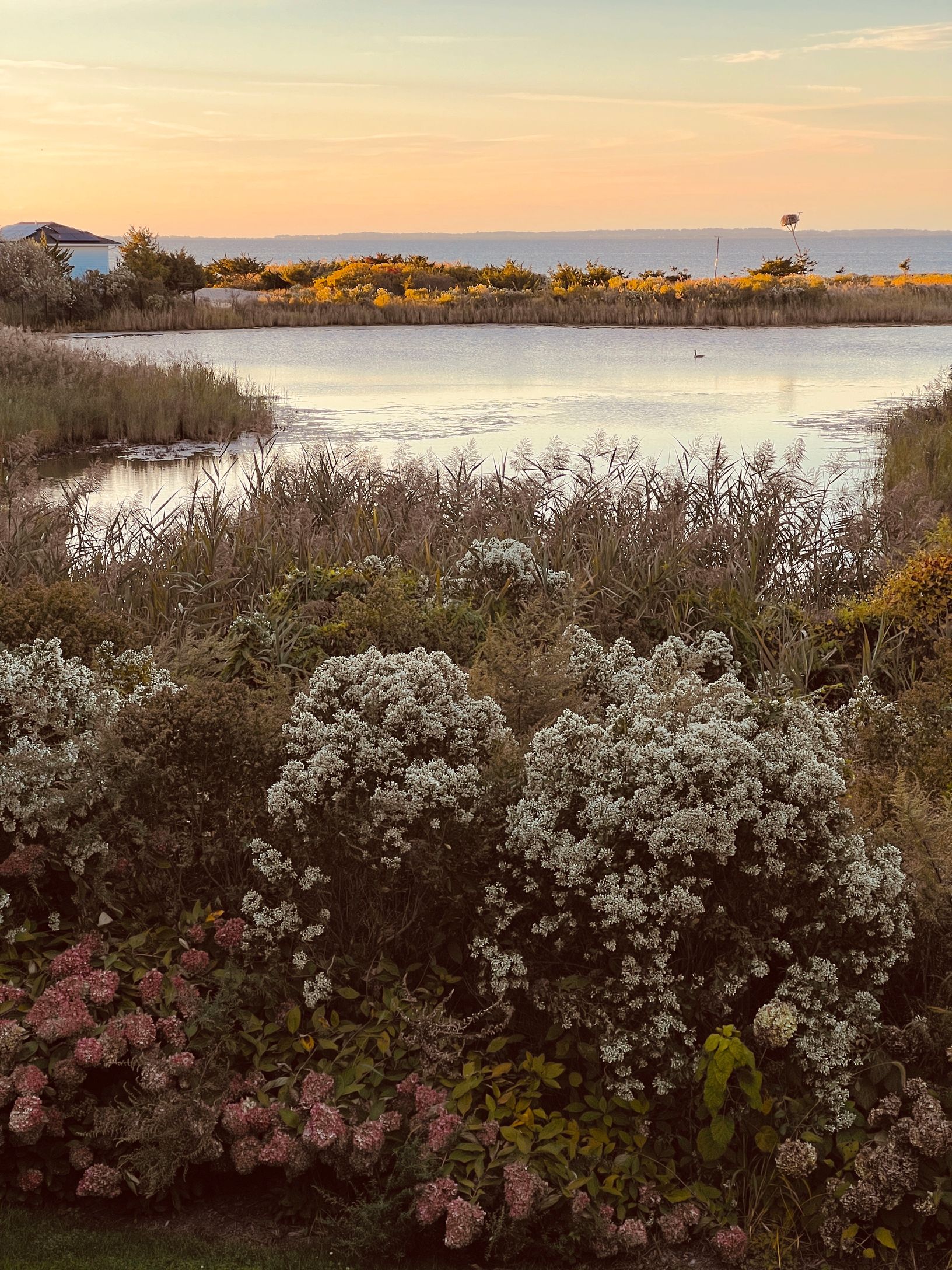 6 Bay Inlet Road East Hampton, NY 11937 - Photo 67 of 68 Gallery Image 67