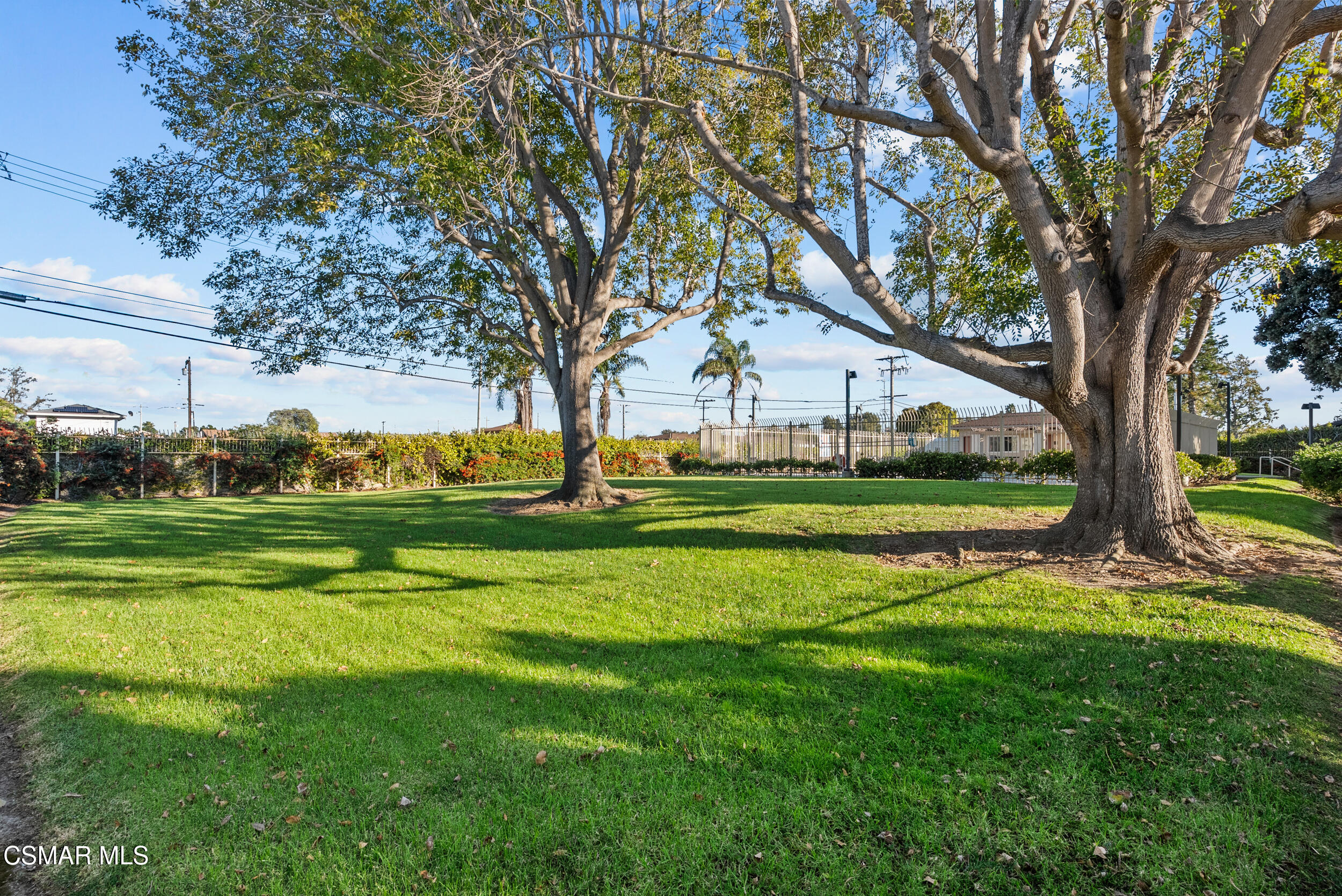 2930 Isle Way, Unit B Oxnard, CA 93035 - Photo 32 of 35 a view of a house with a big yard and palm trees