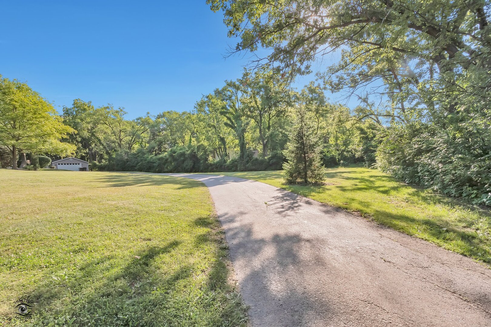 17332 Bluff Road Lemont, IL 60439 - Photo 3 of 18 a view of yard with large trees