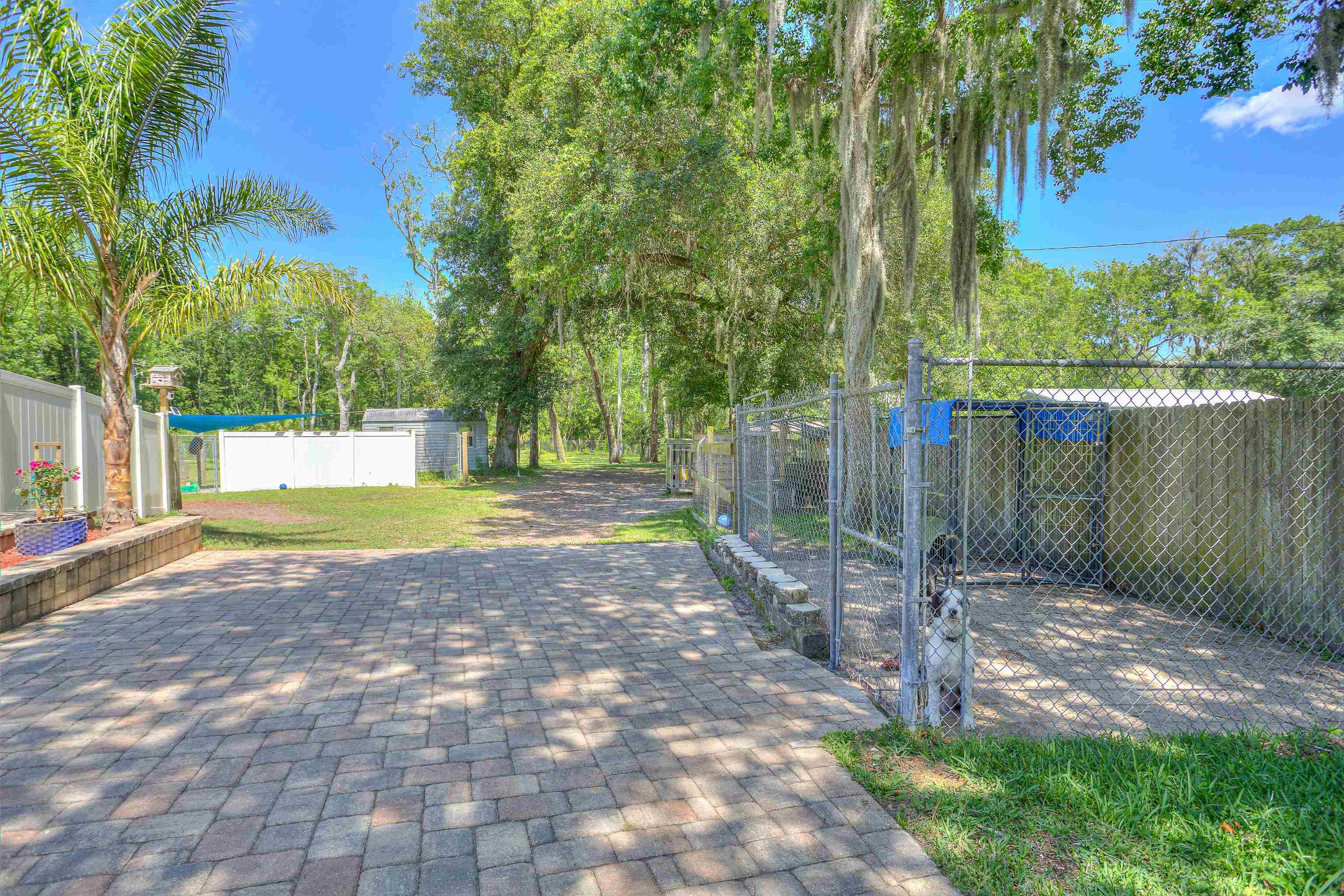 4520 Manucy Road St. Augustine, FL 32084 - Photo 48 of 53 Gallery Image 48
