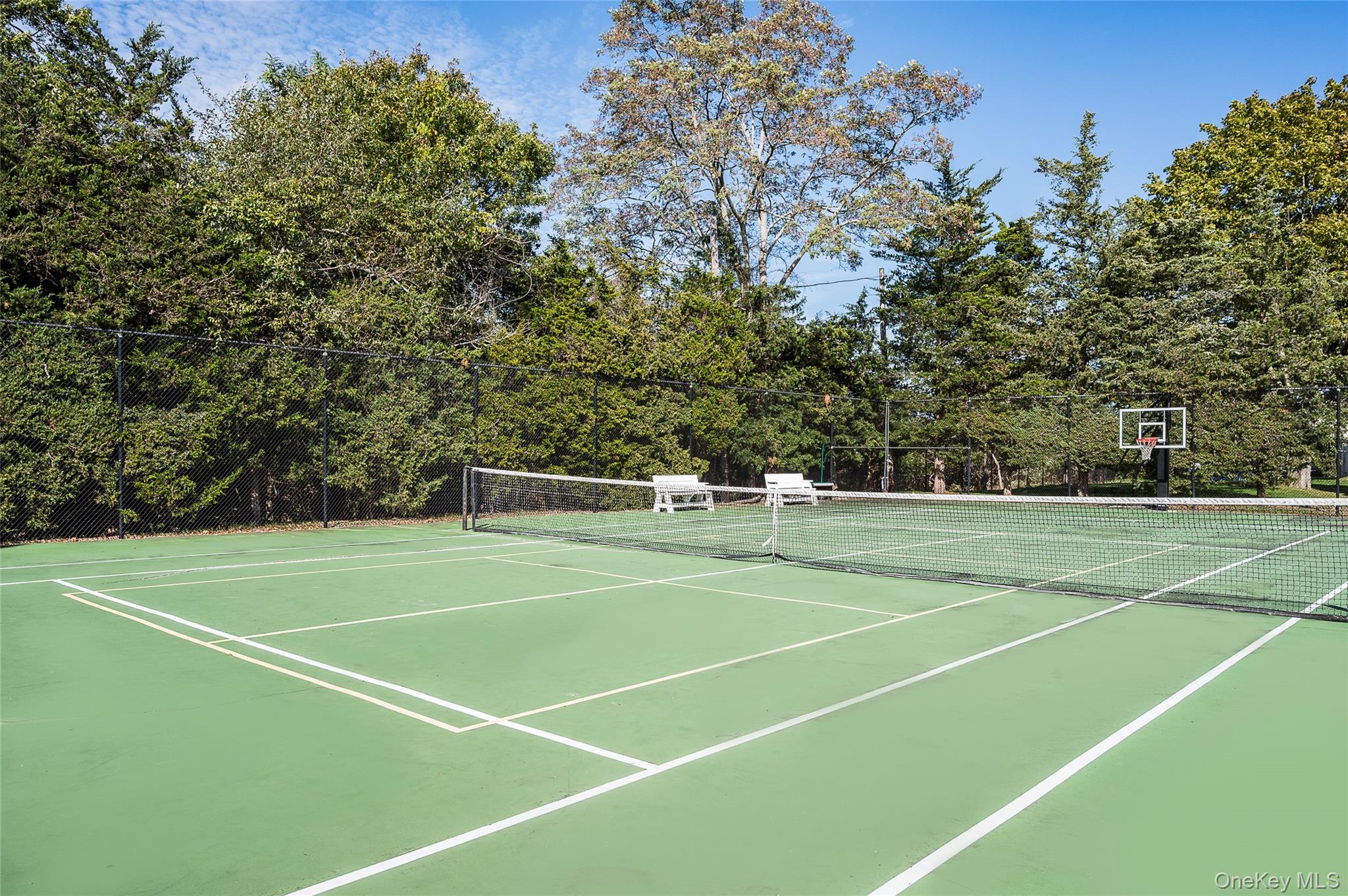 61 West Tiana Road, Unit 10 Hampton Bays, NY 11946 - Photo 20 of 28 Pickle and tennis court