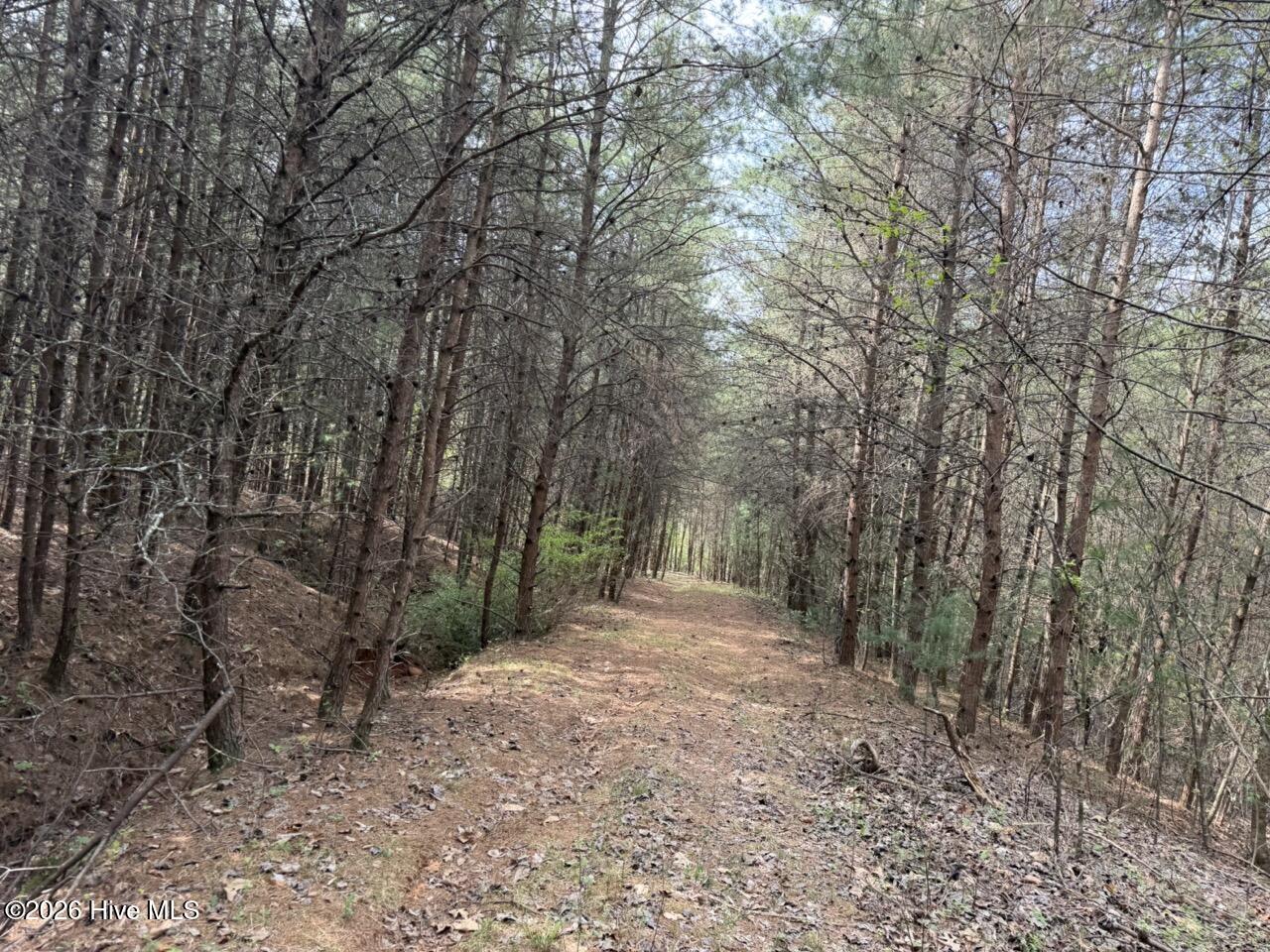 0 Ogreeta Road Murphy, NC 28906 - Photo 29 of 47